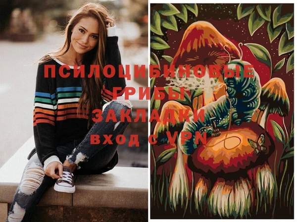 jwh Алзамай