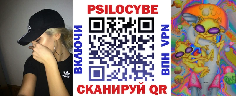 Галлюциногенные грибы Psilocybine cubensis  Купить где  Исилькуль 